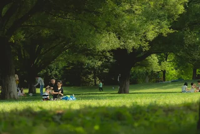 Jak zorganizować rodzinny piknik: porady i pomysły
